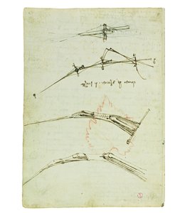 Codex sur le vol des oiseaux, Folio 11 verso - Leonardo da Vinci
